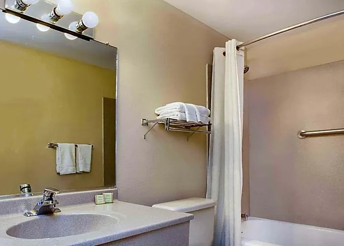 Super 8 By Wyndham Chicago/rosemont/o'hare/se Hotel River Grove